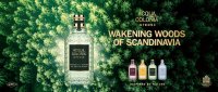 Wakening Woods Of Scandinavia
